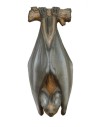 LONGLIFE DIANA 3D MURCIÉLAGO COLGANTE