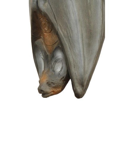LONGLIFE DIANA 3D MURCIÉLAGO COLGANTE