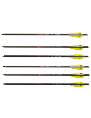 SKYLON CARBON BOLT X-BOW 3K 20" (6 un)