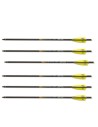SKYLON CARBON BOLT X-BOW 20" (6 un)