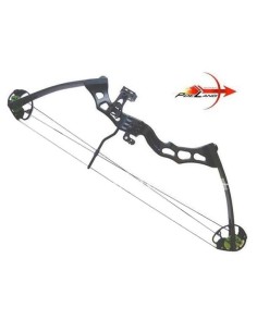 PL ARCO COMPOUND PREDATOR, RH 45-70 lbs 22-31 Pol 2