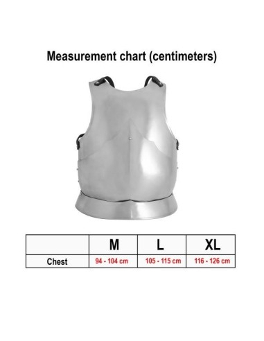 LOB Late Medieval Gothic Breastplate 16 gauge