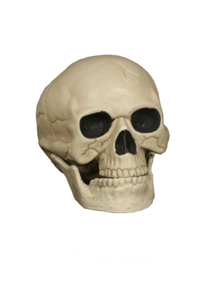 CAVEIRA HUMANA 21 CM