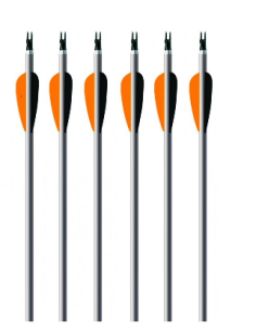 EASTON FLECHA ALUMINIO XX75 PLATINUM PLUS 2413