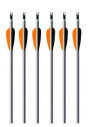 EASTON FLECHA ALUMINIO XX75 PLATINUM PLUS 2413