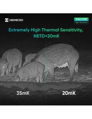 Monóculo Térmico HIKMICRO Falcon FH25 – Visão Noturna Avançada