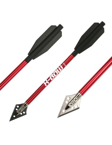 X-BOW CARREAU PISTOLET ARBALETE AVEC POINTE CHASSE (2 UN)