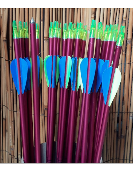 EASTON ARROW ALUMINIUM 1616 WITH TARGET POINT (UN)