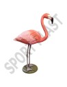 HUNT TROPICAL FLAMINGO for DECOR (UN)