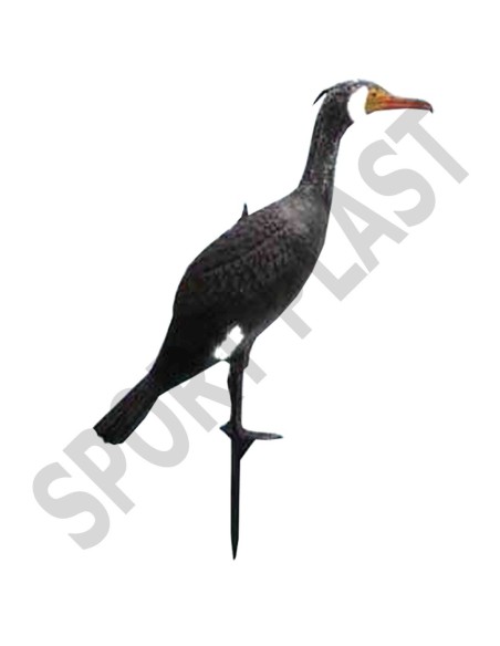HUNT CORMORÁN EM PIED (UN)