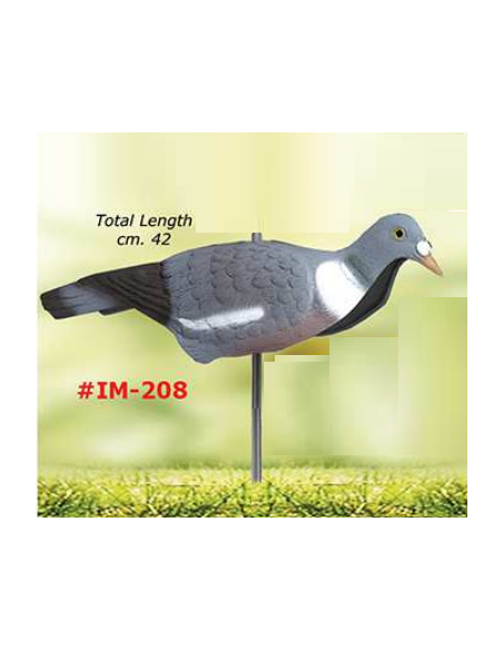 SPORT PLAST NEGAÇA POMBO (CAPA)