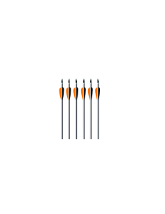EASTON ARROW ALUMINIUM XX75 PLATINUM PLUS 2413 8/32 (Un) 2