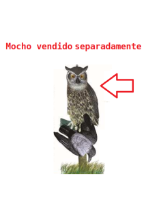 HUNT DEAD PIGEON (un) 2