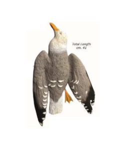 HUNT DEAD SEAGULL (un)