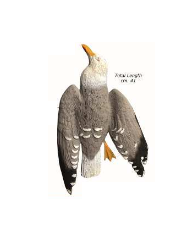 HUNT DEAD SEAGULL (un)