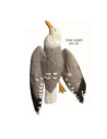 HUNT DEAD SEAGULL (un)