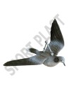 HUNT FLYING TOURTLE DOVE (UN)