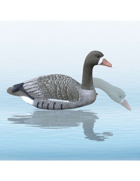 HUNT WHITE FRONT GOOSE (UN)
