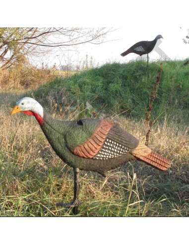 HUNT TURKEYS (UN)