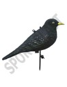 HUNT BLACKBIRD DECOY  (UN)