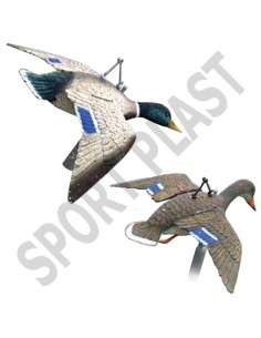 HUNT COUPLE DE CANARDS VOLANTS (ENS.)