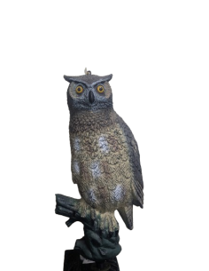 HUNT HIBOU 66 CM AVEC BASE (UN)