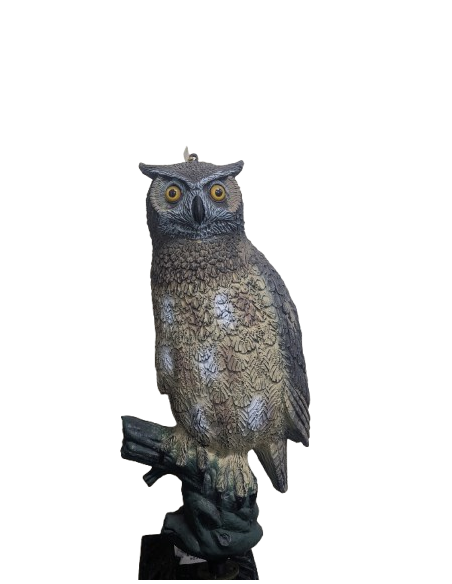 HUNT HIBOU 66 CM AVEC BASE (UN)