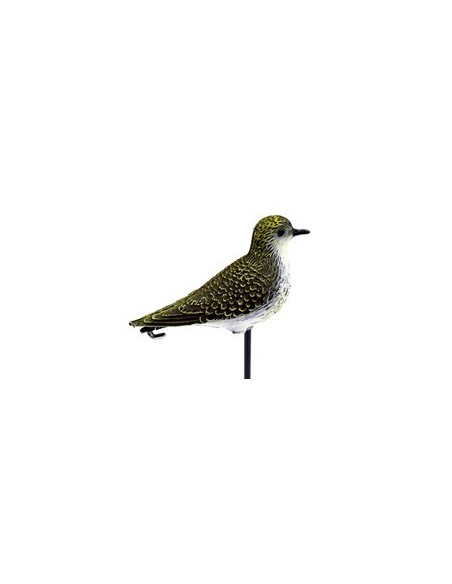 HUNT GOLDEN PLOVER DECOY (UN)