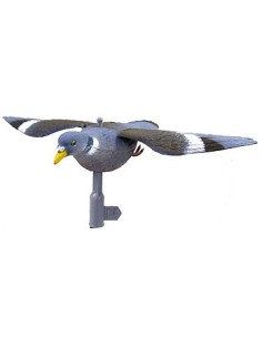 HUNT PIGEON VOLANT (UN)