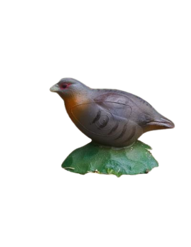 Valeur Pack Ek Cobra System Siege 300 PFS (conj)