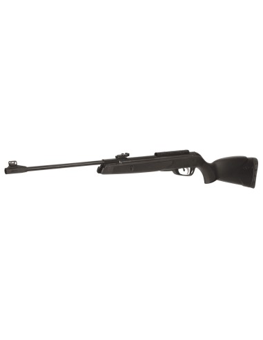 GAMO CARABINE AIRE COMPRIMÉ BLACK 1000 IGT
