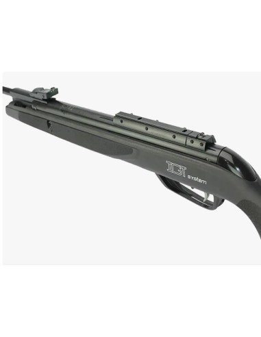 GAMO CARABINE AIRE COMPRIMÉ BLACK 1000 IGT