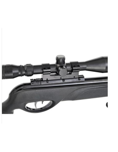 GAMO CARABINE AIRE COMPRIMÉ HPA STORM, avec viseur et bipied