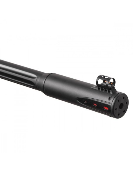 GAMO CARABINA AIRE COMPRIMIDO ROADSTER IGT10X GEN3i, CON VISOR 4X32