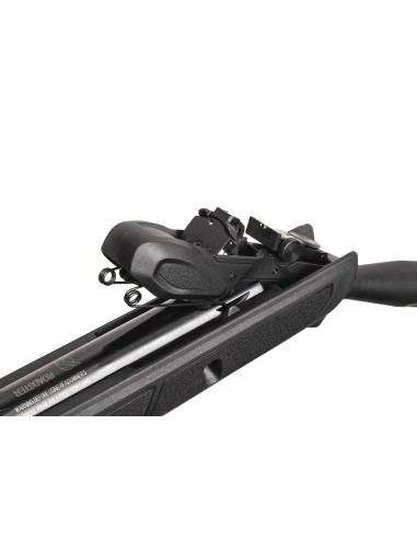 GAMO CARABINA AIRE COMPRIMIDO ROADSTER IGT10X GEN3i, CON VISOR 4X32