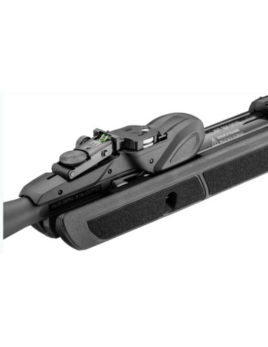 GAMO CARABINE AIR COMPRIMÉ ROADSTER IGT10X GEN3i, AVEC LUNETTE 4X32