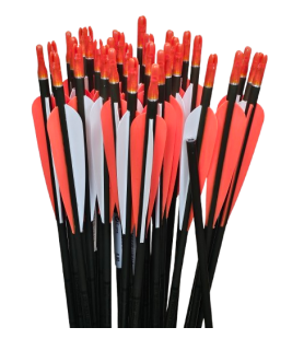 EASTON ALUMINIUM ARROW 2018 WITH 8/32