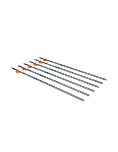 RAVIN CROSSBOW BOLTS XK5 500 GR .001 (6 UN)