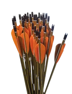 EASTON ALUM ARROW XX75 GOLD 2114 INSERT 8/32 FEATHERS (UN)